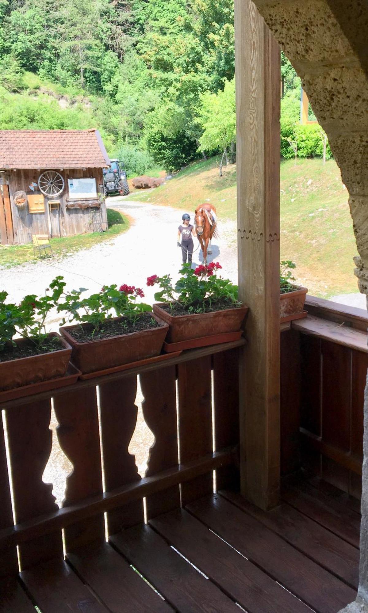 Agriturismo Randis Piano dʼArta Kültér fotó