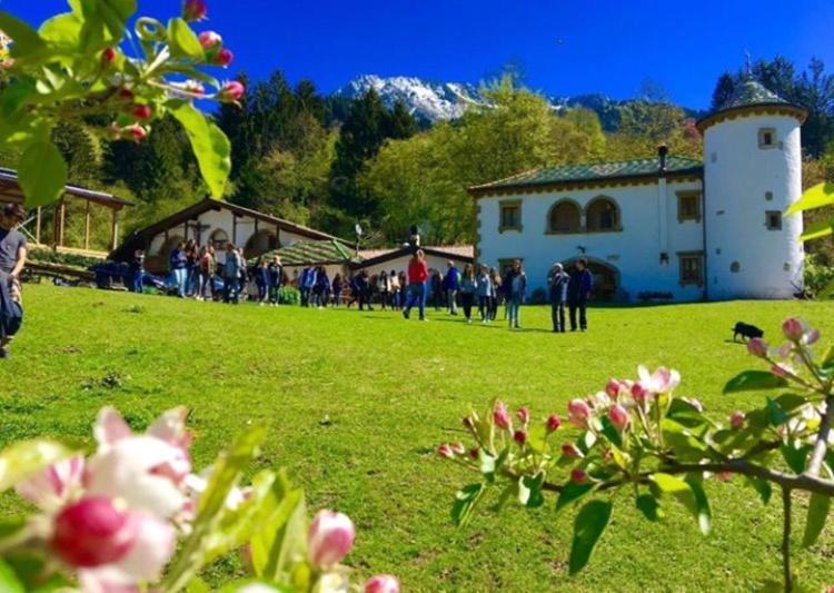 Agriturismo Randis Piano dʼArta Kültér fotó