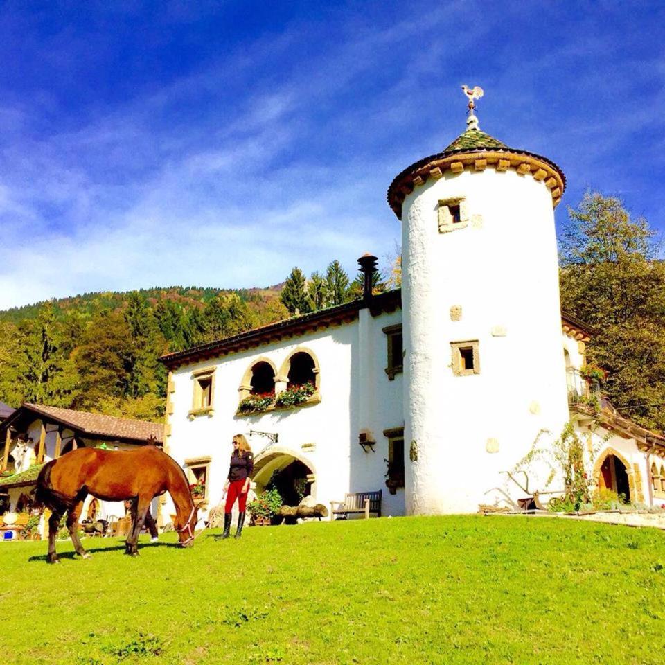 Agriturismo Randis Piano dʼArta Kültér fotó